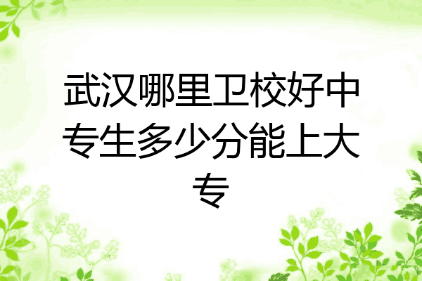 武汉哪里卫校好中专生多少分能上大专