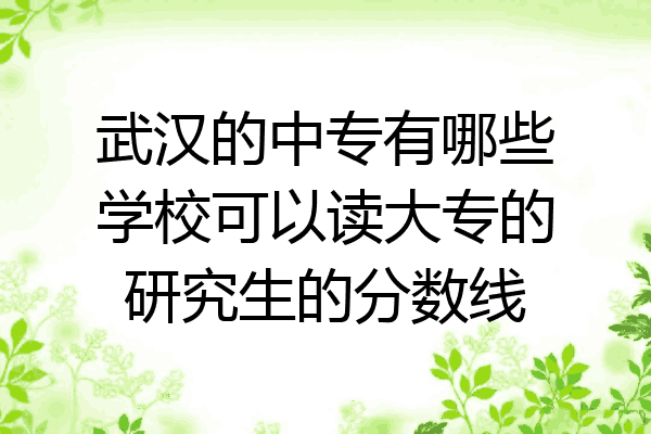 武汉的中专有哪些学校可以读大专的研究生的分数线