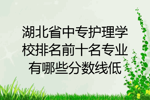 湖北省中专护理学校排名前十名专业有哪些分数线低