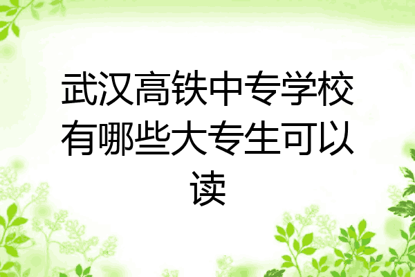 武汉高铁中专学校有哪些大专生可以读