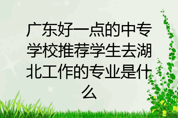 广东好一点的中专学校推荐学生去湖北工作的专业是什么