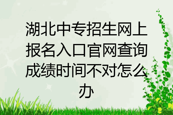 湖北中专招生网上报名入口官网查询成绩时间不对怎么办