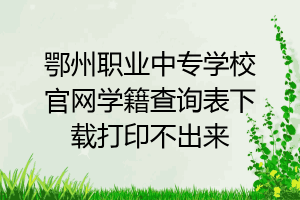 鄂州职业中专学校官网学籍查询表下载打印不出来