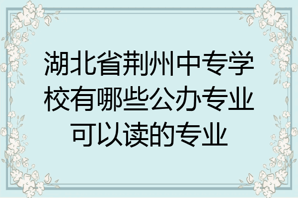 湖北省荆州中专学校有哪些公办专业可以读的专业