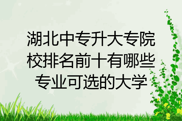 湖北中专升大专院校排名前十有哪些专业可选的大学