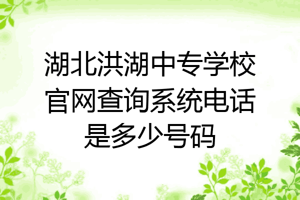 湖北洪湖中专学校官网查询系统电话是多少号码