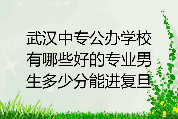 武汉中专公办学校有哪些好的专业男生多少分能进复旦