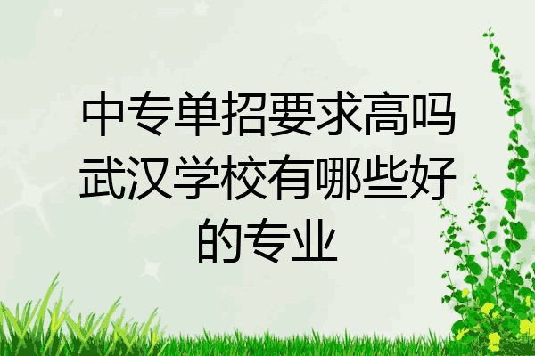 中专单招要求高吗武汉学校有哪些好的专业