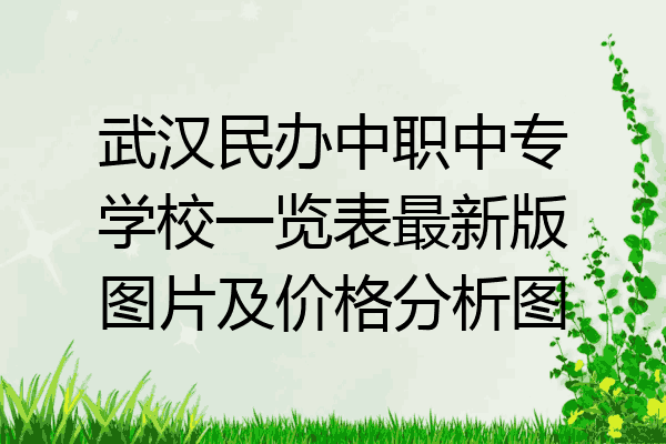 武汉民办中职中专学校一览表最新版图片及价格分析图