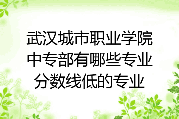 武汉城市职业学院中专部有哪些专业分数线低的专业