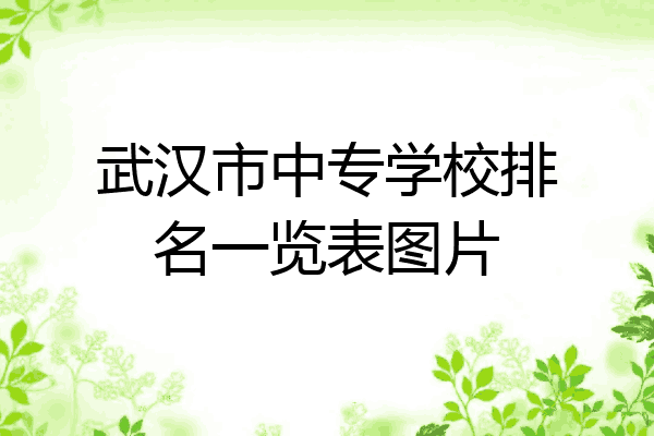 武汉市中专学校排名一览表图片