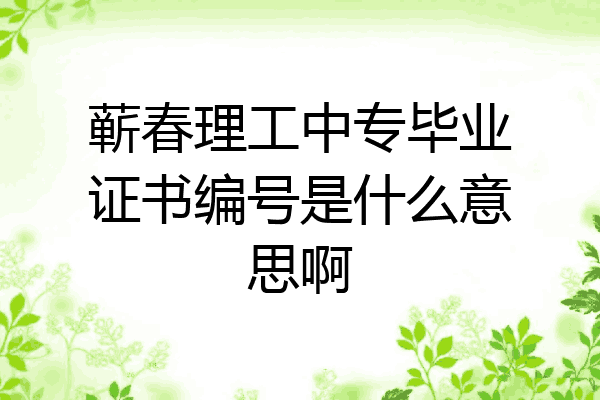 蕲春理工中专毕业证书编号是什么意思啊