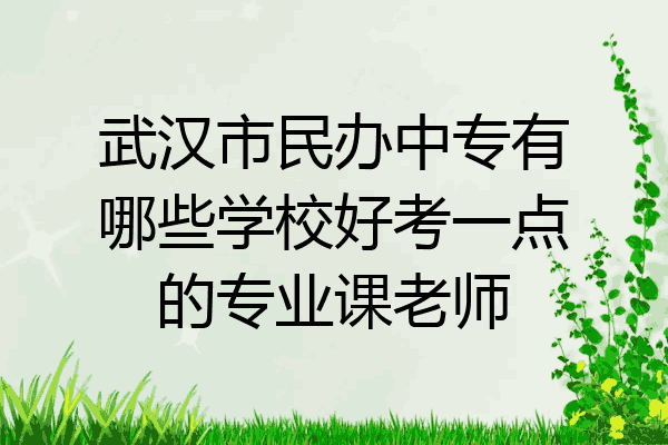 武汉市民办中专有哪些学校好考一点的专业课老师