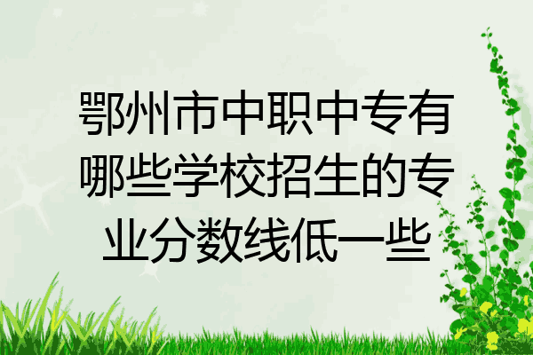 鄂州市中职中专有哪些学校招生的专业分数线低一些