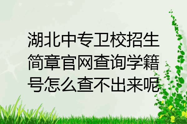 湖北中专卫校招生简章官网查询学籍号怎么查不出来呢