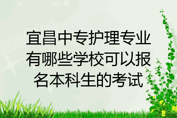 宜昌中专护理专业有哪些学校可以报名本科生的考试