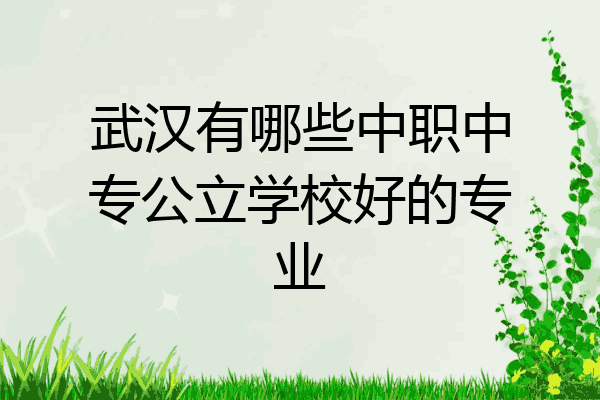 武汉有哪些中职中专公立学校好的专业