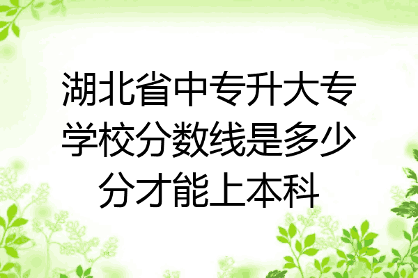 湖北省中专升大专学校分数线是多少分才能上本科