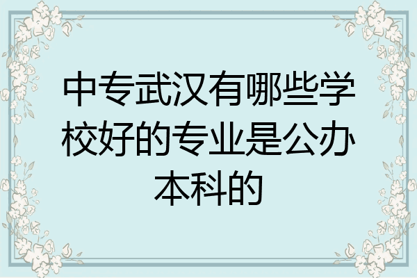 中专武汉有哪些学校好的专业是公办本科的