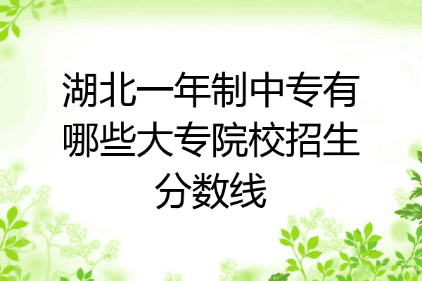 湖北一年制中专有哪些大专院校招生分数线
