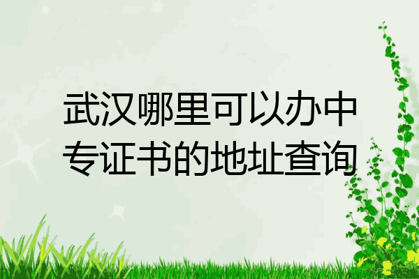 武汉哪里可以办中专证书的地址查询