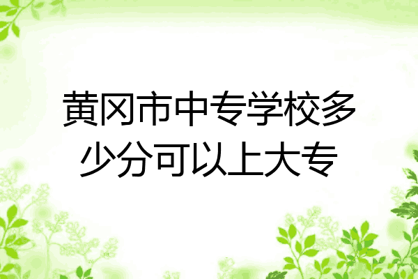 黄冈市中专学校多少分可以上大专