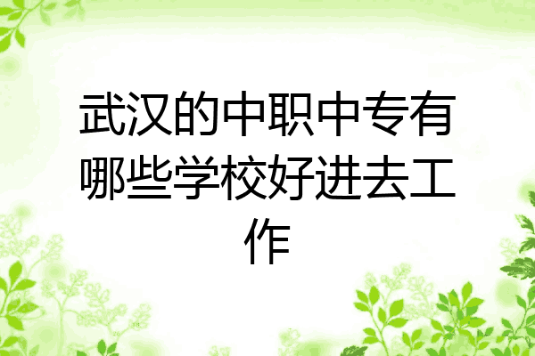 武汉的中职中专有哪些学校好进去工作