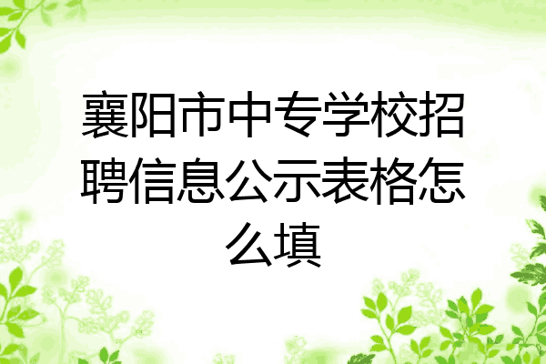 襄阳市中专学校招聘信息公示表格怎么填
