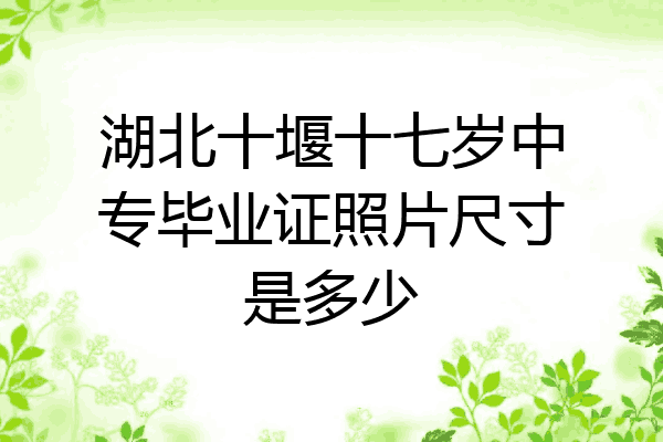 湖北十堰十七岁中专毕业证照片尺寸是多少
