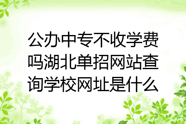 公办中专不收学费吗湖北单招网站查询学校网址是什么