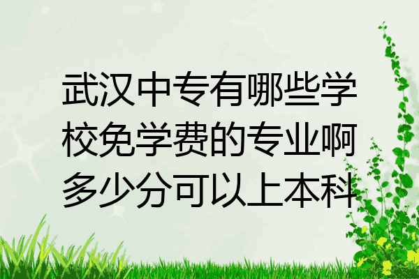 武汉中专有哪些学校免学费的专业啊多少分可以上本科