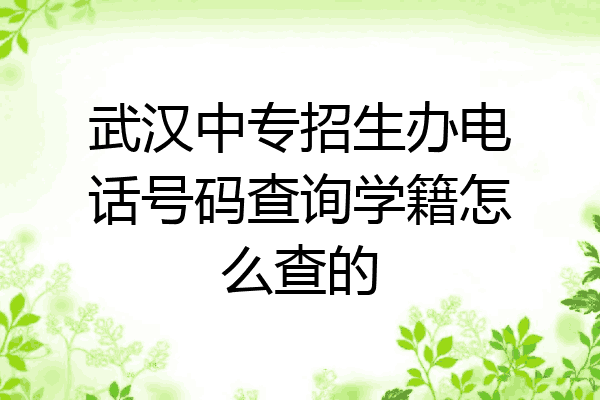 武汉中专招生办电话号码查询学籍怎么查的