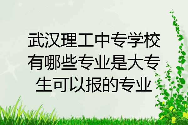 武汉理工中专学校有哪些专业是大专生可以报的专业