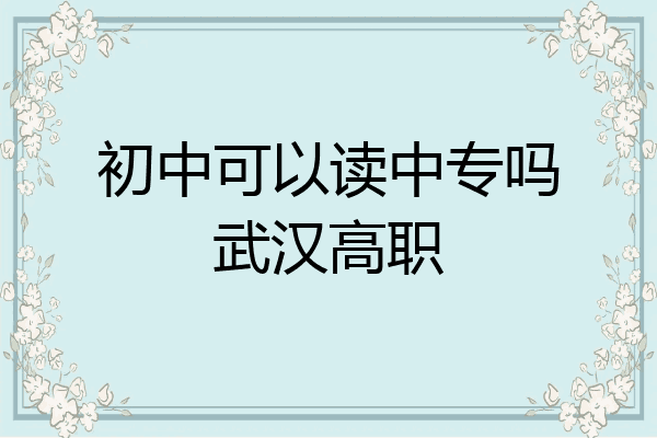 初中可以读中专吗武汉高职