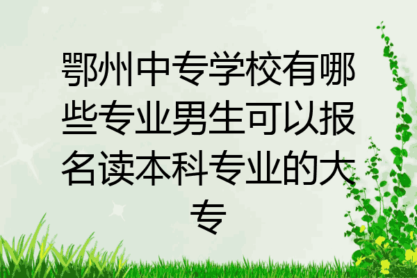 鄂州中专学校有哪些专业男生可以报名读本科专业的大专