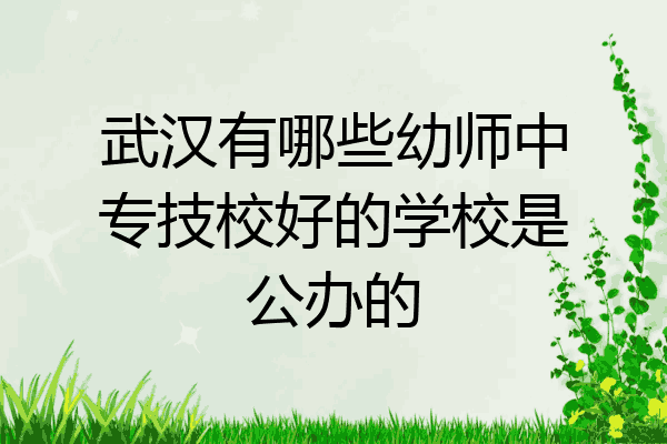 武汉有哪些幼师中专技校好的学校是公办的