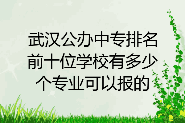 武汉公办中专排名前十位学校有多少个专业可以报的