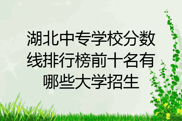 湖北中专学校分数线排行榜前十名有哪些大学招生