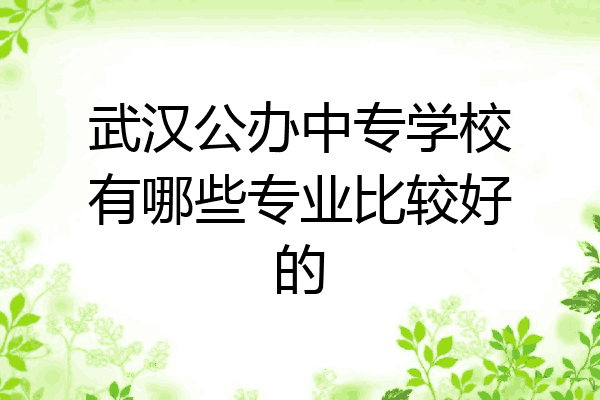 武汉公办中专学校有哪些专业比较好的