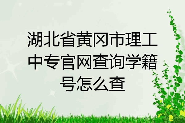 湖北省黄冈市理工中专官网查询学籍号怎么查