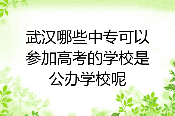 武汉哪些中专可以参加高考的学校是公办学校呢