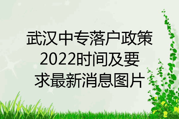 武汉中专落户政策2022时间及要求最新消息图片