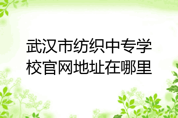 武汉市纺织中专学校官网地址在哪里