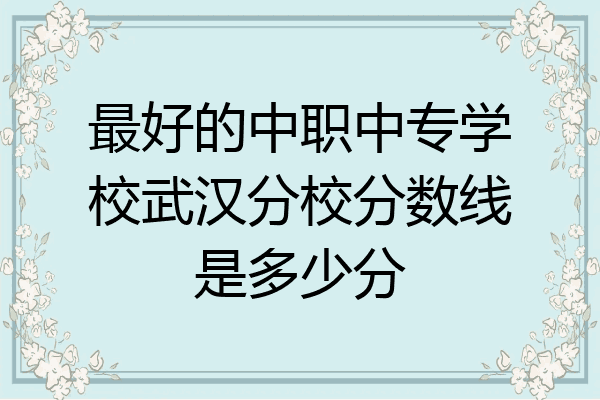 最好的中职中专学校武汉分校分数线是多少分