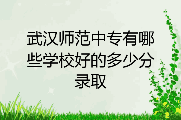 武汉师范中专有哪些学校好的多少分录取