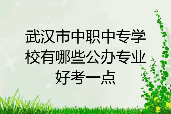 武汉市中职中专学校有哪些公办专业好考一点