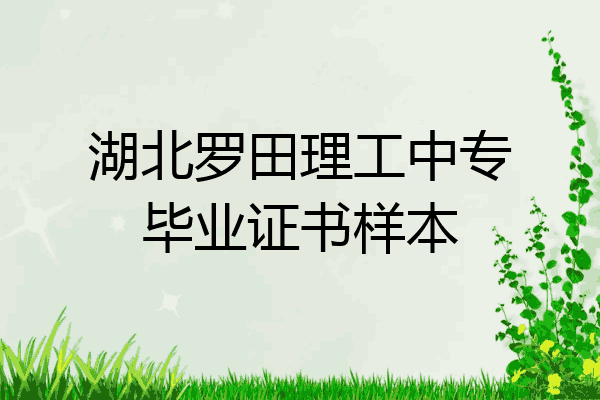 湖北罗田理工中专毕业证书样本