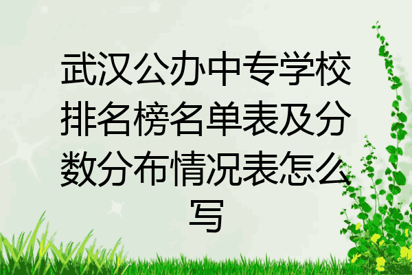 武汉公办中专学校排名榜名单表及分数分布情况表怎么写
