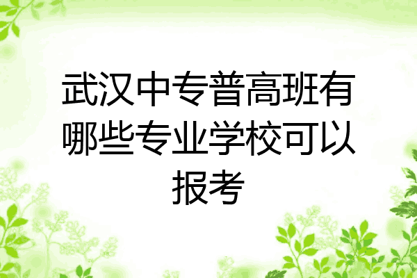 武汉中专普高班有哪些专业学校可以报考