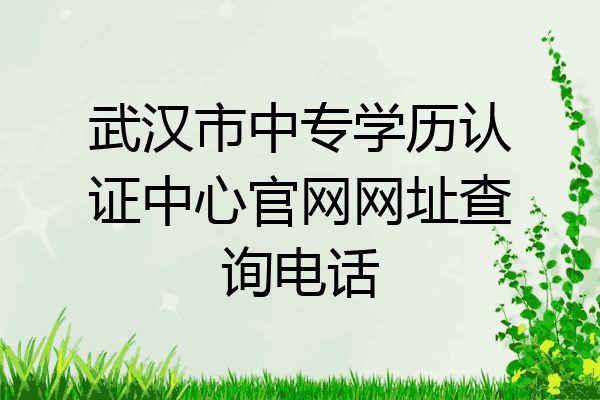 武汉市中专学历认证中心官网网址查询电话